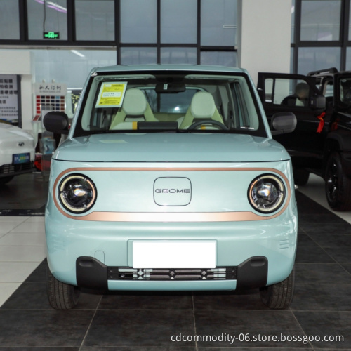 Cheap and High Quantity New Energy Vehicle Geely Panda Mini Car Cute New Electric Car for Sale